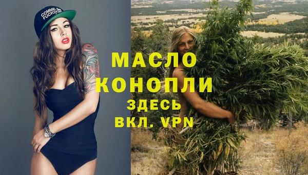 гашик Верея