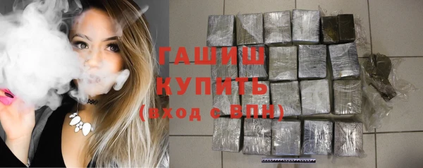 гашик Верея
