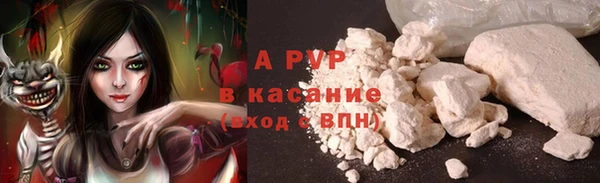 гашик Верея