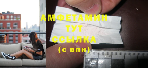 гашик Верея