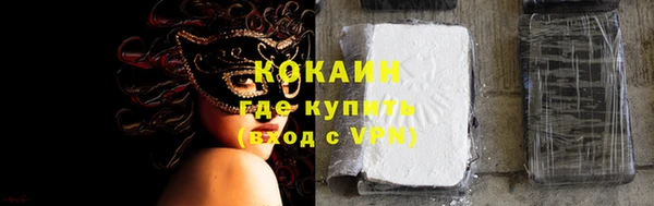 гашик Верея