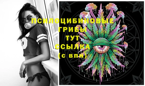 гашик Верея