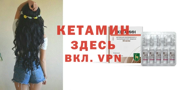 гашик Верея