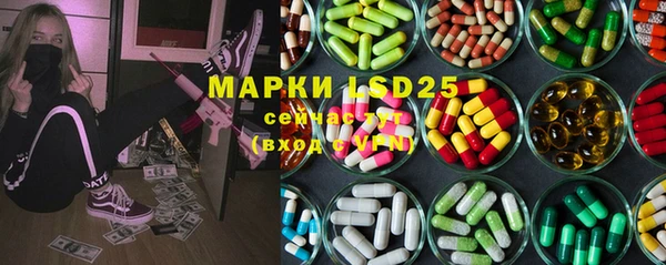 гашик Верея