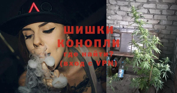 гашик Верея