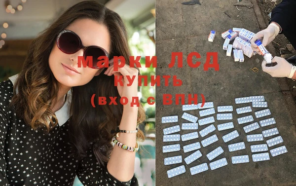гашик Верея