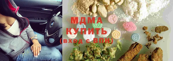 гашик Верея