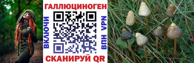 Купить закладки  Светлогорск  Галлюциногенные грибы мухоморы 
