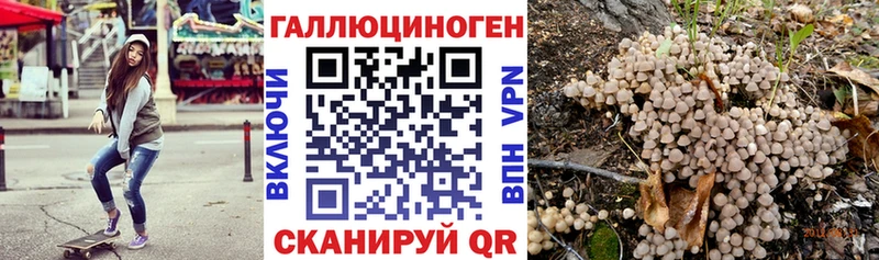 Галлюциногенные грибы GOLDEN TEACHER Светлогорск